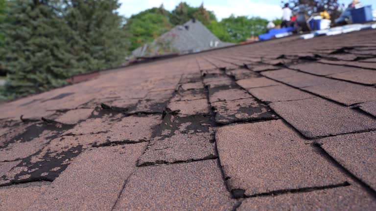 Best Gutter Installation and Repair  in Shelby, OH